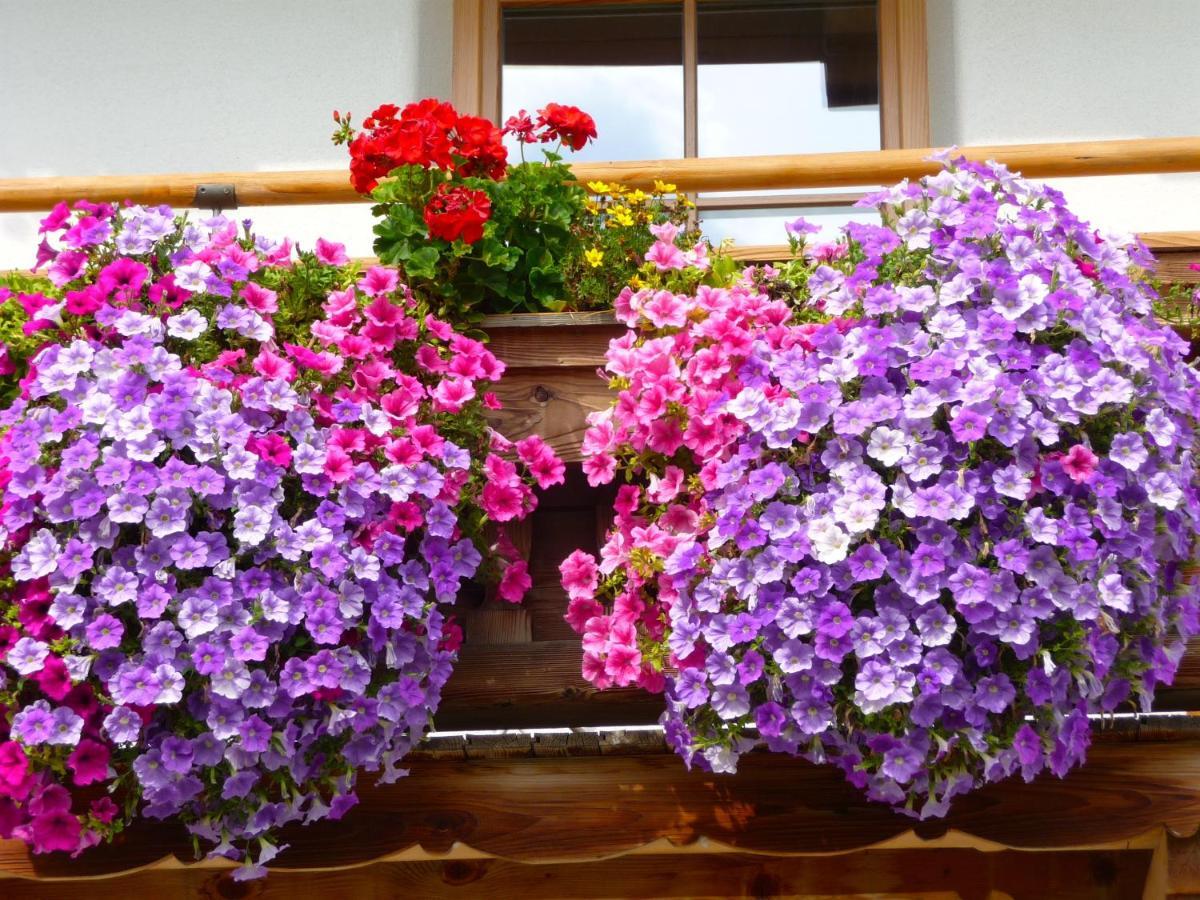 Ferienwohnung Huberhof Oberndorf in Tirol Exterior foto